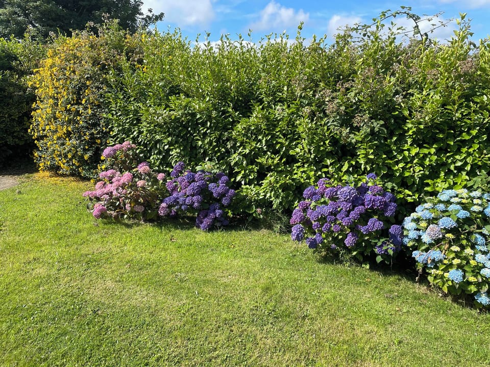 Cottage | Property grounds