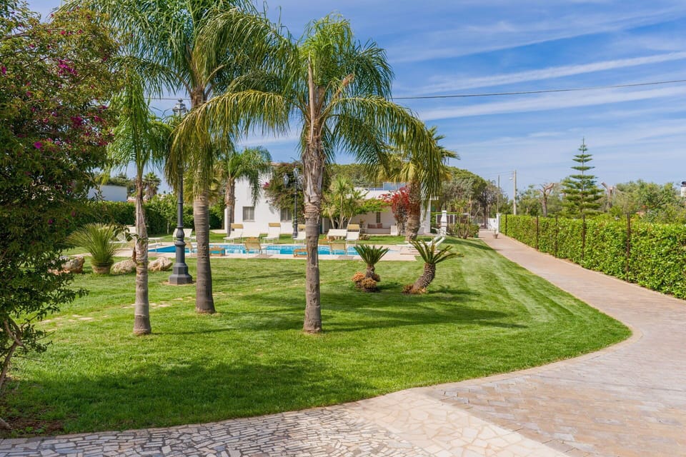 Tree, Garden, Shrub, Lawn, Woody Plant, Landscaping, Shade, Hacienda