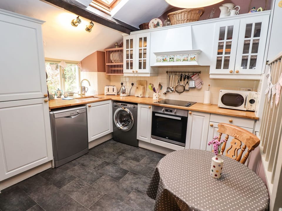 Fridge, dishwasher, cookware/dishes/utensils