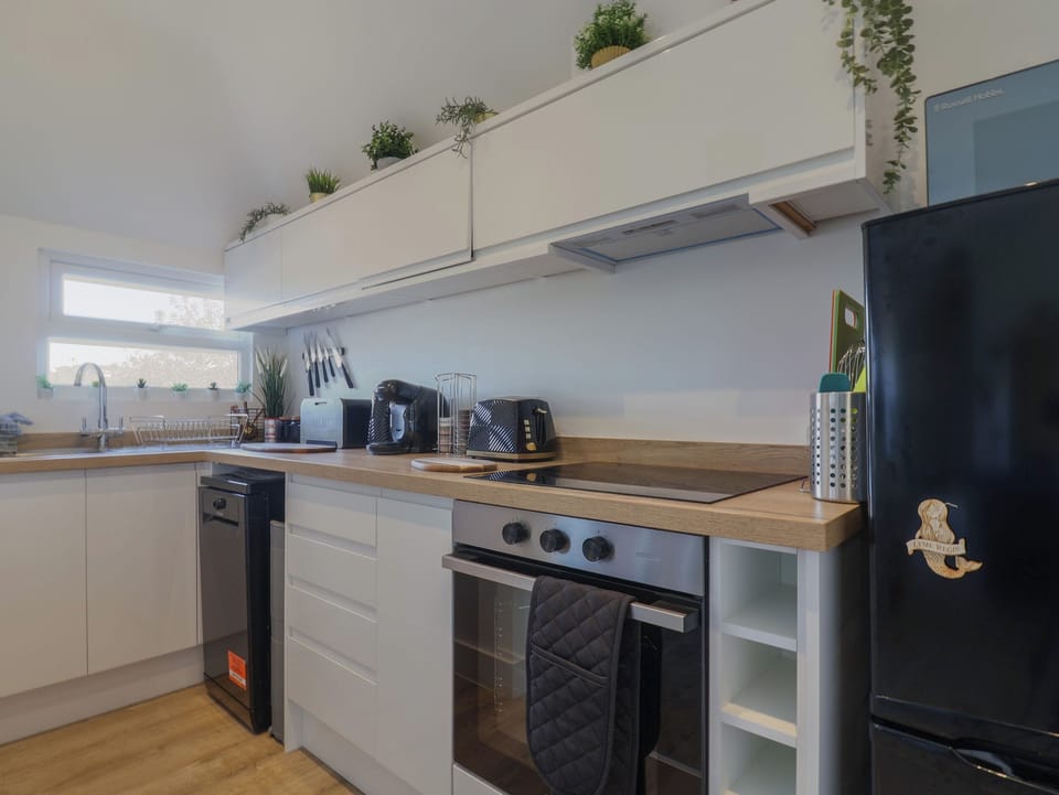 Fridge, dishwasher, electric kettle, cookware/dishes/utensils