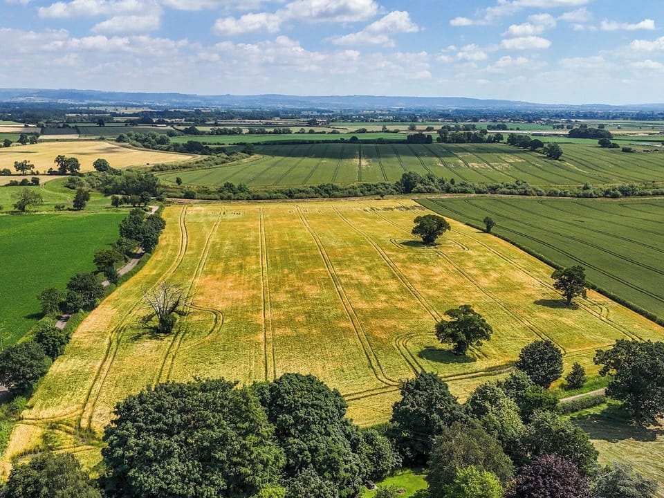 Cottage | Aerial view