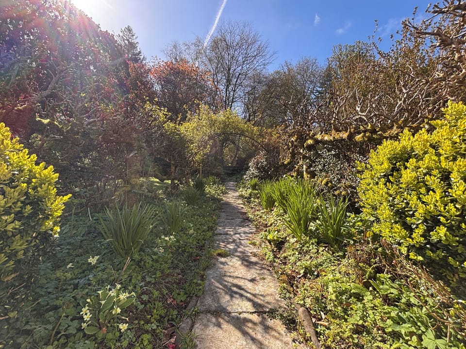 Cottage | Property grounds
