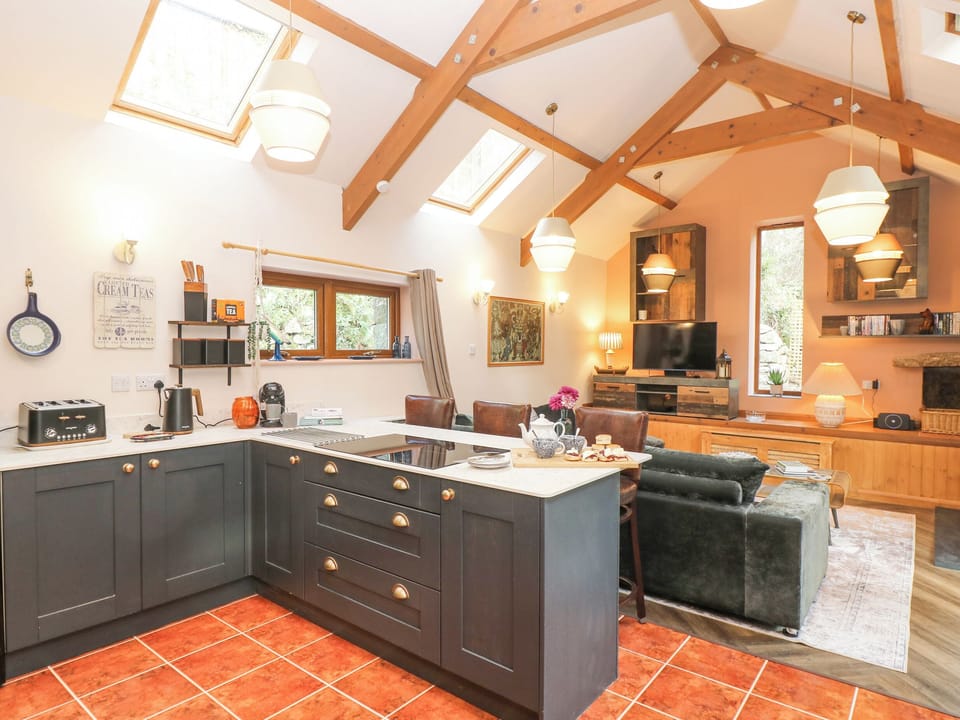 Fridge, dishwasher, cookware/dishes/utensils