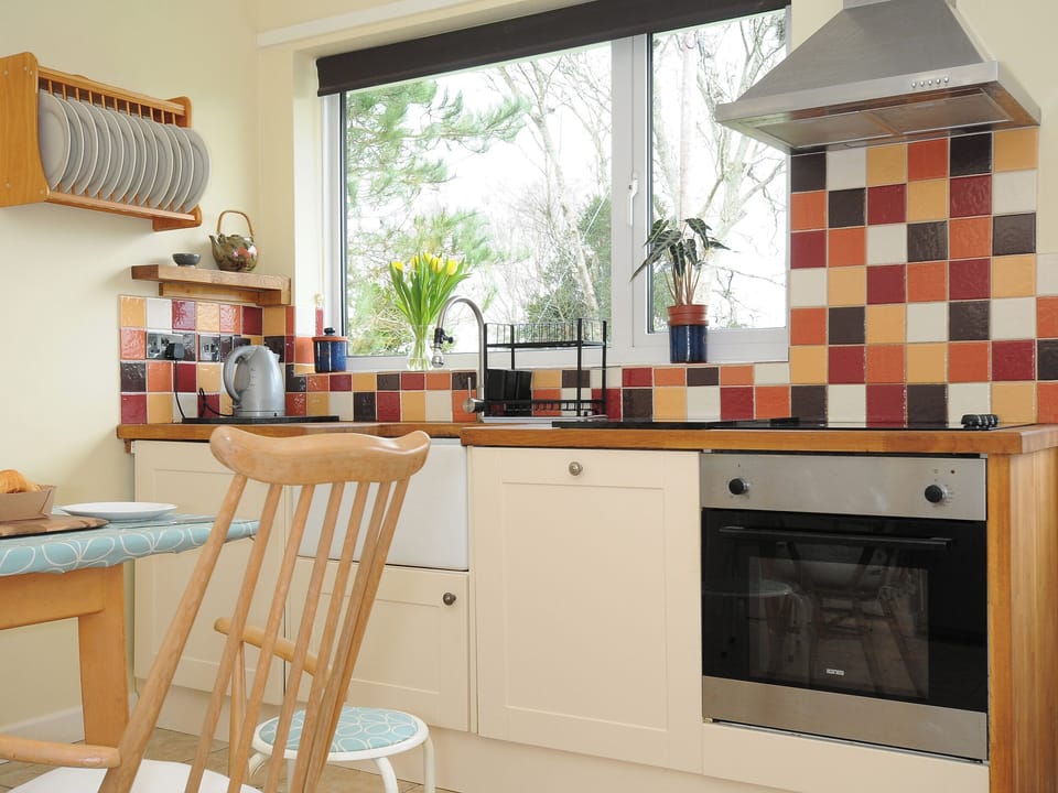 Fridge, dishwasher, cookware/dishes/utensils