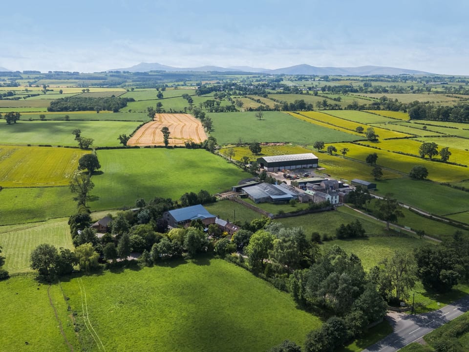 Cottage | Aerial view