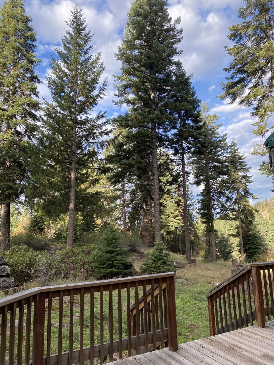 Patio View