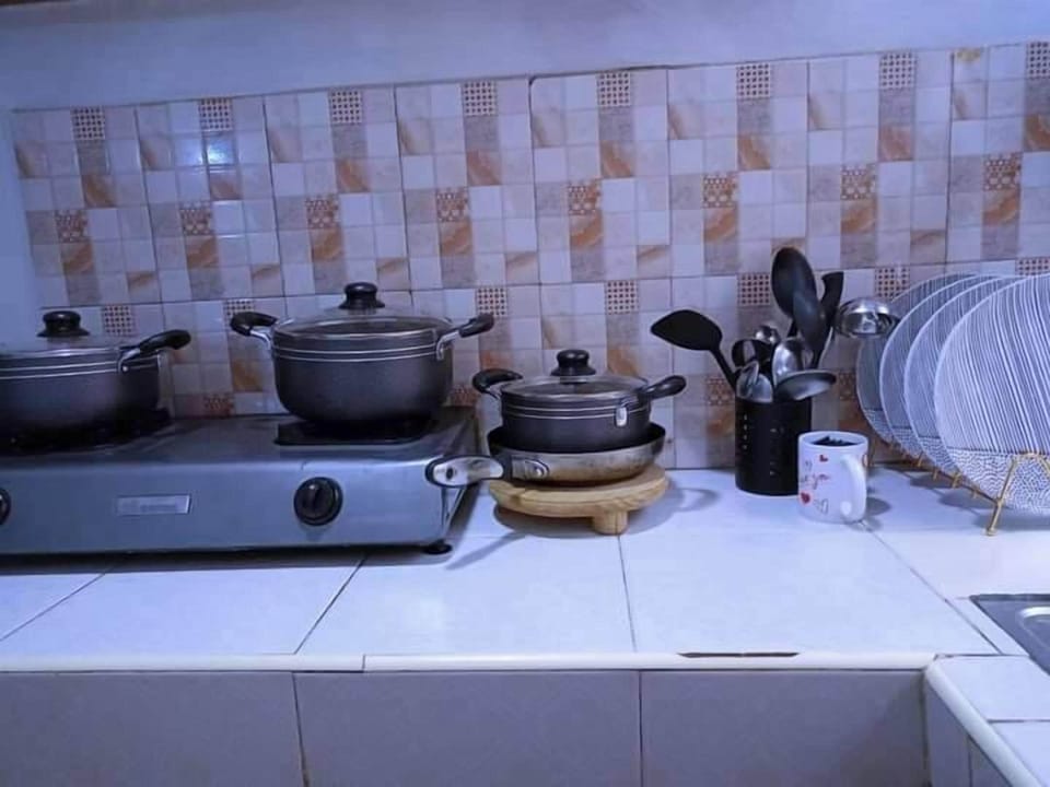 Deluxe Apartment, City View | Private kitchen | Fridge, microwave, cookware/dishes/utensils