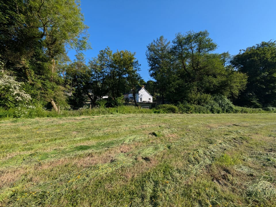 Cottage | Miscellaneous