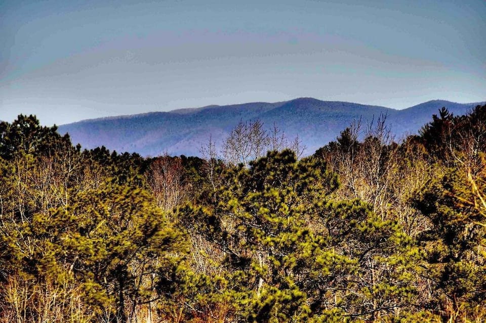 View from the top deck, accessible from the loft or master bedroom