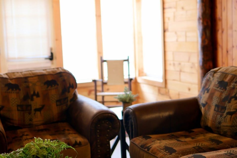 Living Room / Lounge