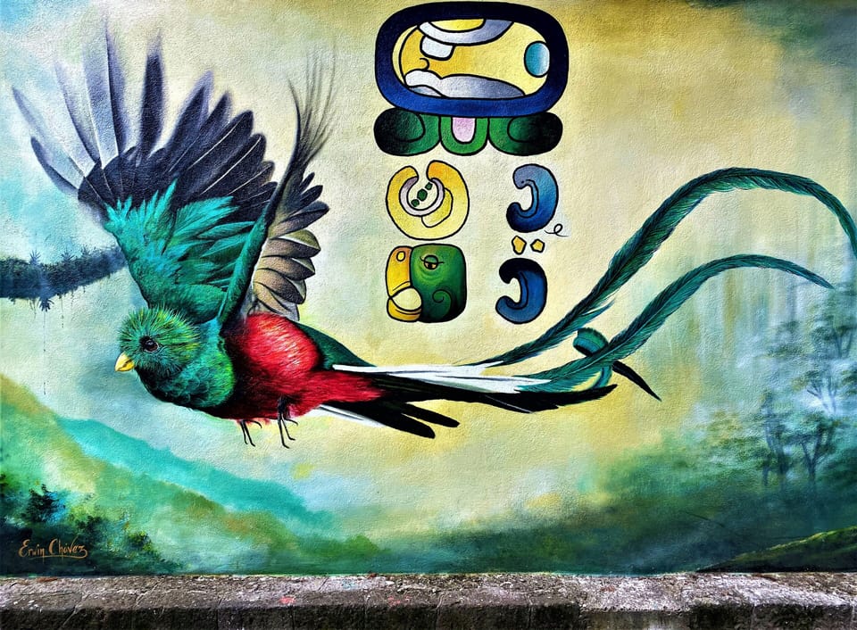 Book a tour and admire the national bird, the Quetzal. In the mountain next door