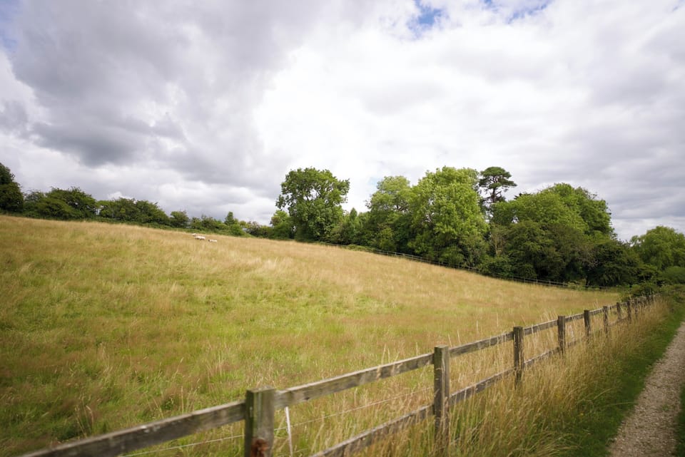 Image 22