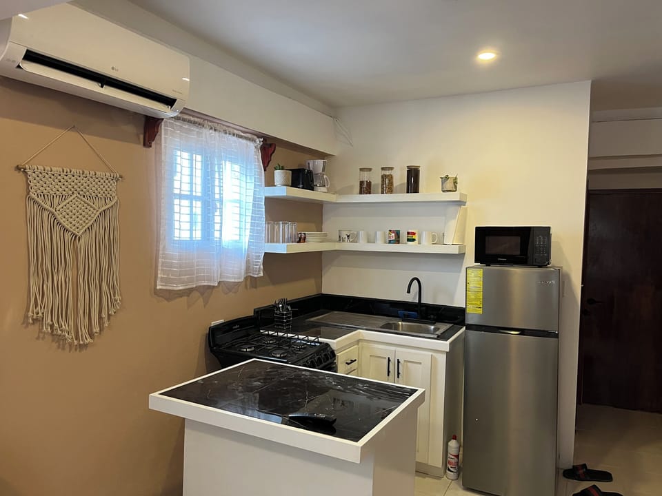 Deluxe Apartment, Air conditioning, City View | Private kitchen