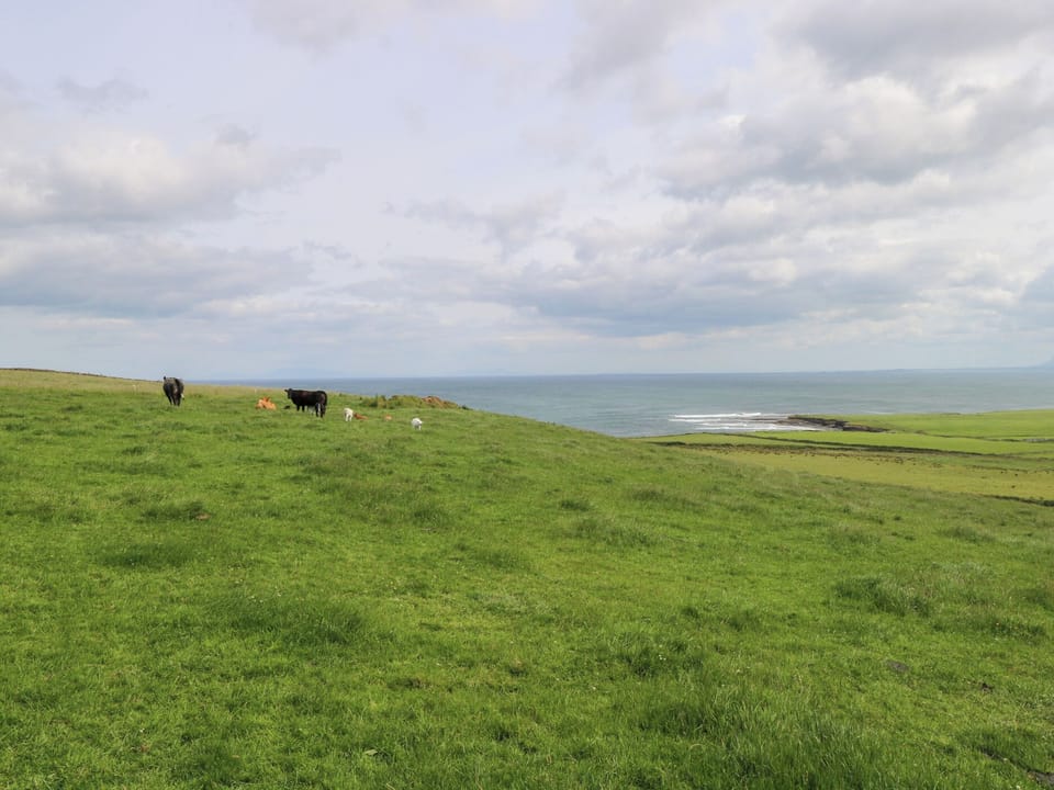 Cottage | Miscellaneous