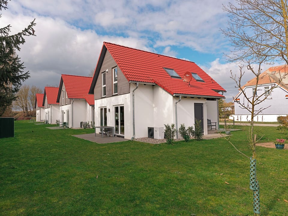 Main view