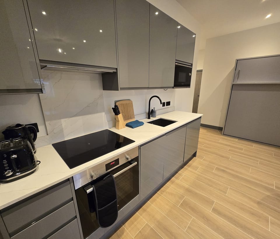 Deluxe Apartment, City View | Private kitchen | Fridge, microwave, oven, stovetop