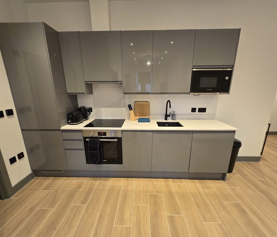 Deluxe Apartment, City View | Private kitchen | Fridge, microwave, oven, stovetop