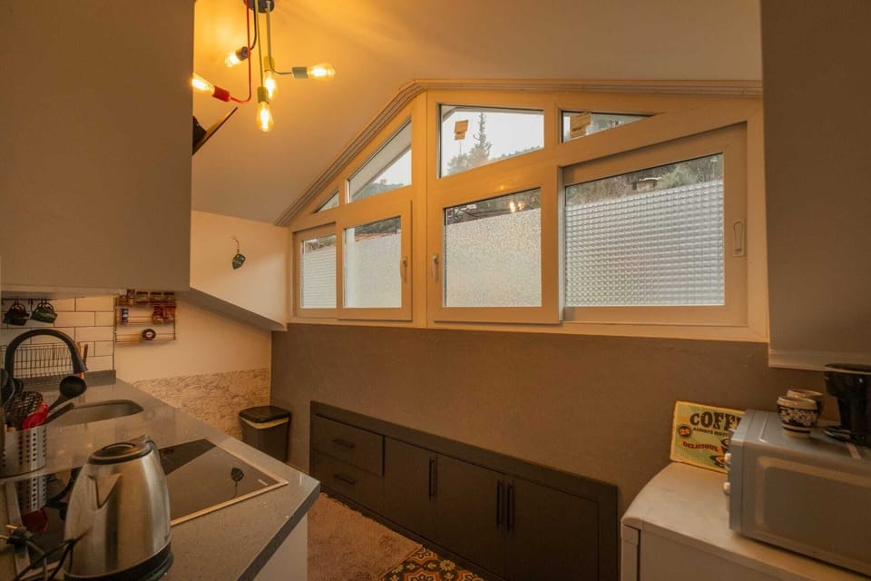Deluxe Loft, Sea View | Private kitchen | Fridge, microwave, oven, stovetop