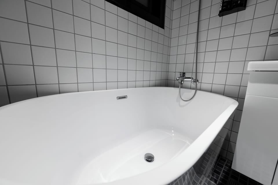 Combined shower/tub, free toiletries, hair dryer, towels