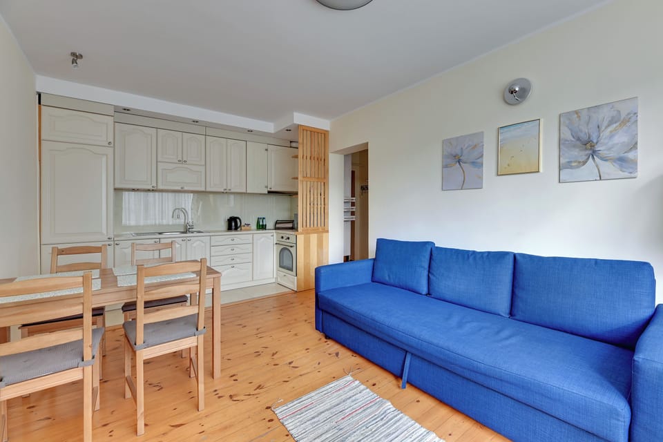 Comfort Apartment | 1 bedroom, iron/ironing board, WiFi (free)