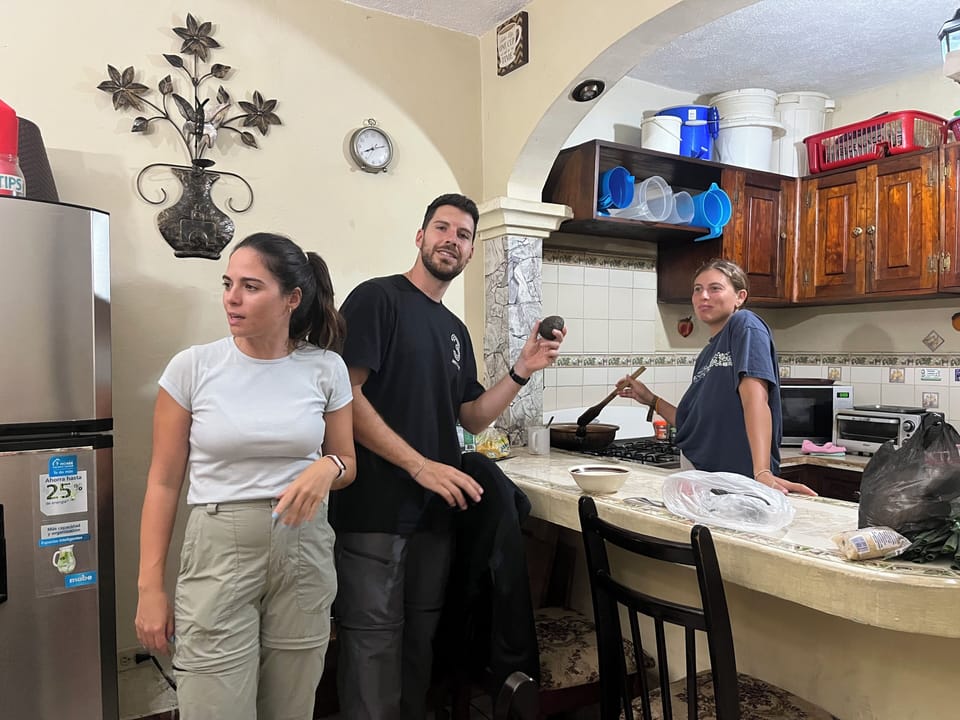 Full-size fridge, microwave, blender, waffle maker