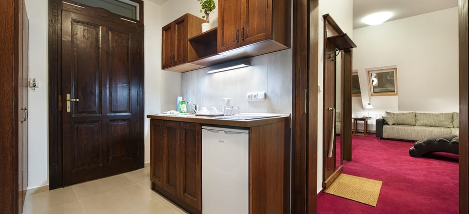Junior Room, City View | Private kitchenette