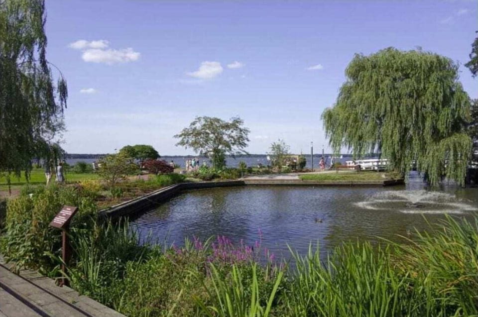 Water view