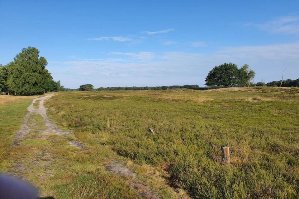 Surroundings [summer] (1-5 km)