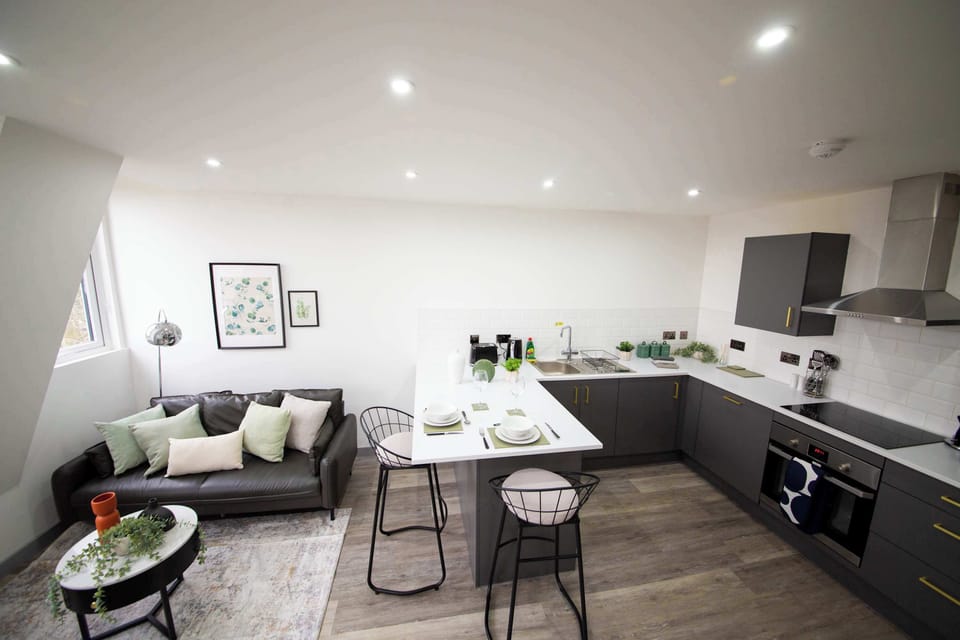 Living Space and Kitchen