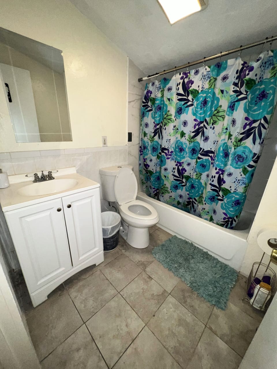 Combined shower/tub, soap, toilet paper