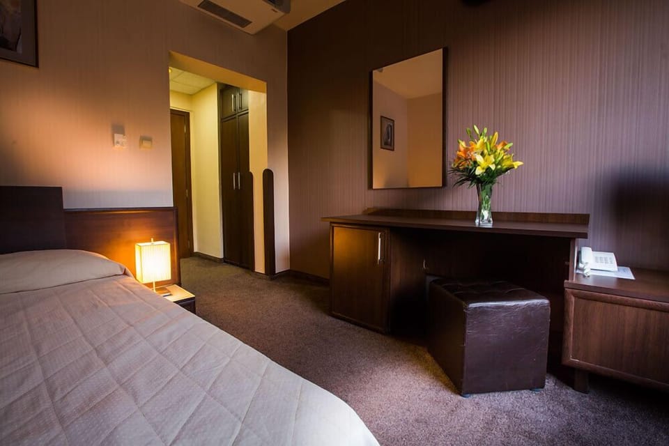 Business Single Room | Desk, iron/ironing board, free WiFi, wheelchair access