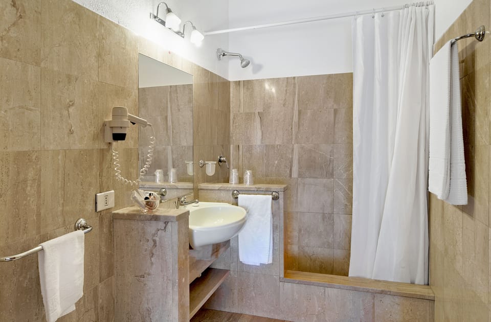 Hair dryer, bidet, towels