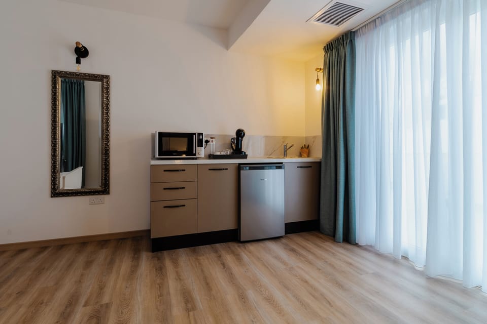 Classic Double Room | Private kitchen | Mini-fridge, microwave