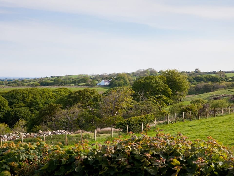 Cottage | Miscellaneous