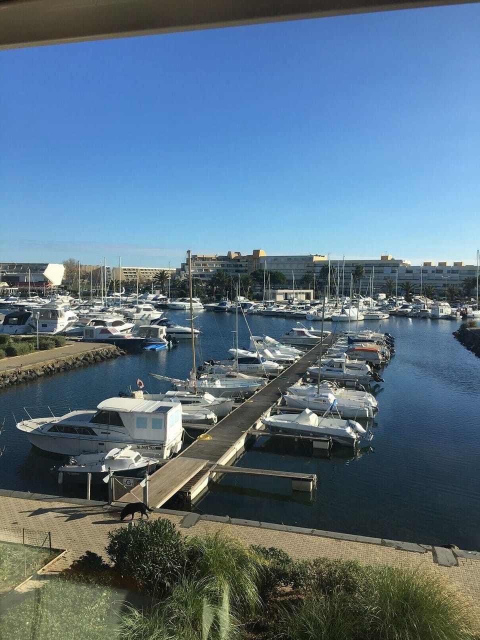 Marina