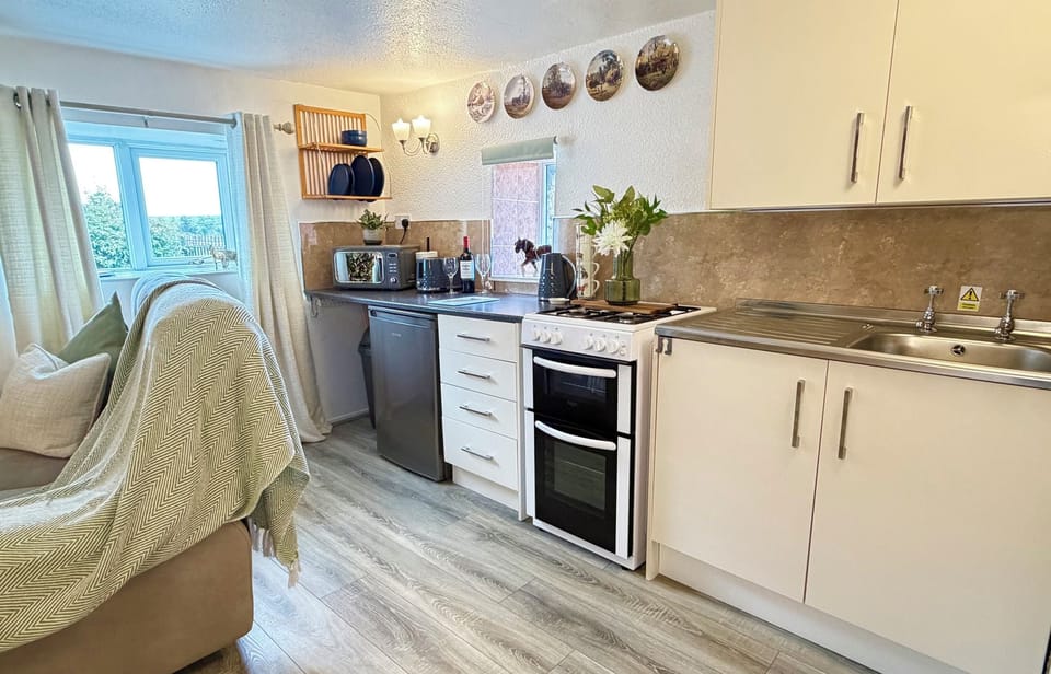 Fridge, microwave, toaster, cookware/dishes/utensils
