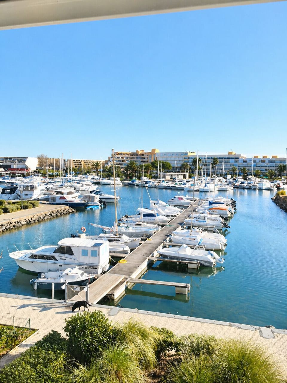 Marina
