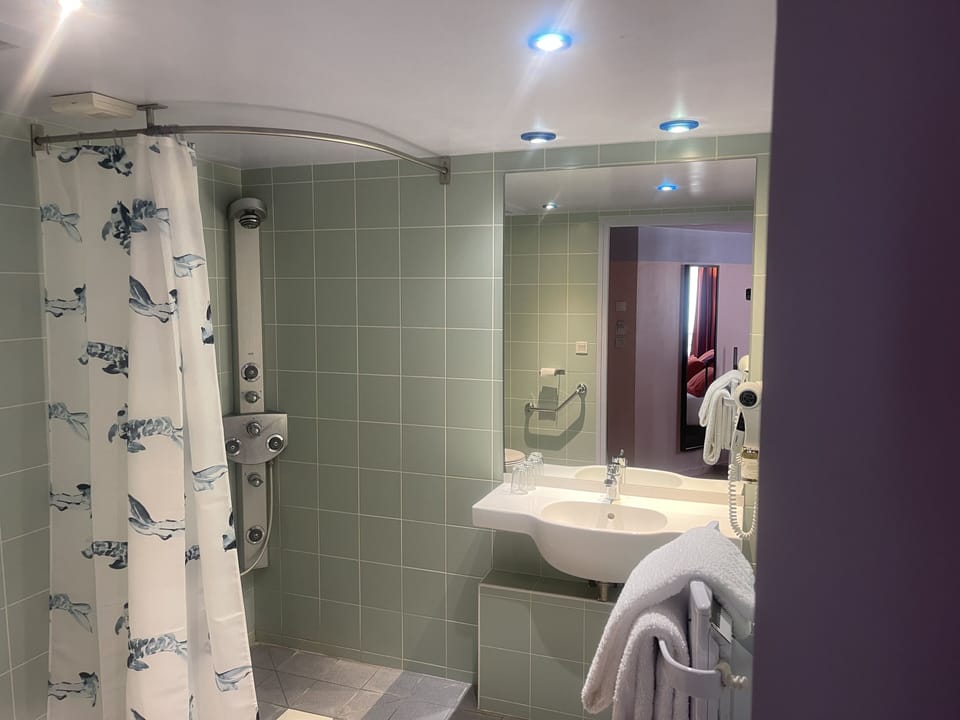 Twin Room | Bathroom | Shower, free toiletries, hair dryer, towels