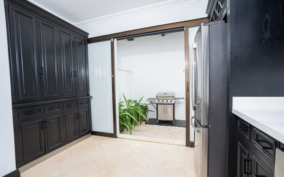 Kitchen door leading to back patio with BBQ 