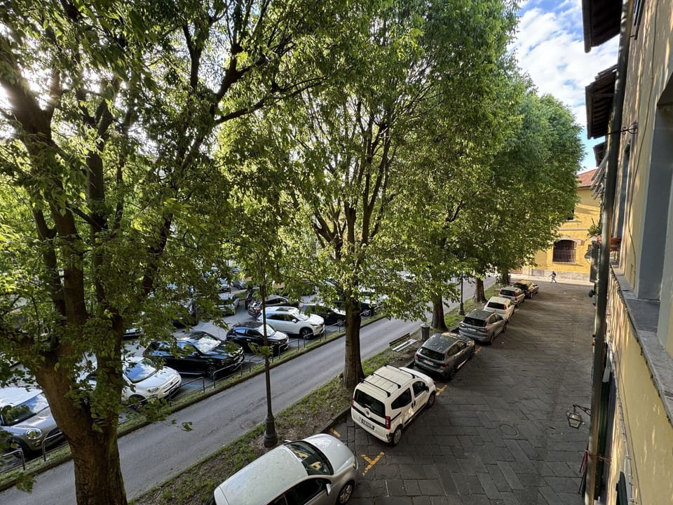 Car, Vehicle, Mode Of Transport, Wheel, Tree, Motor Vehicle, Transport, Automotive Exterior