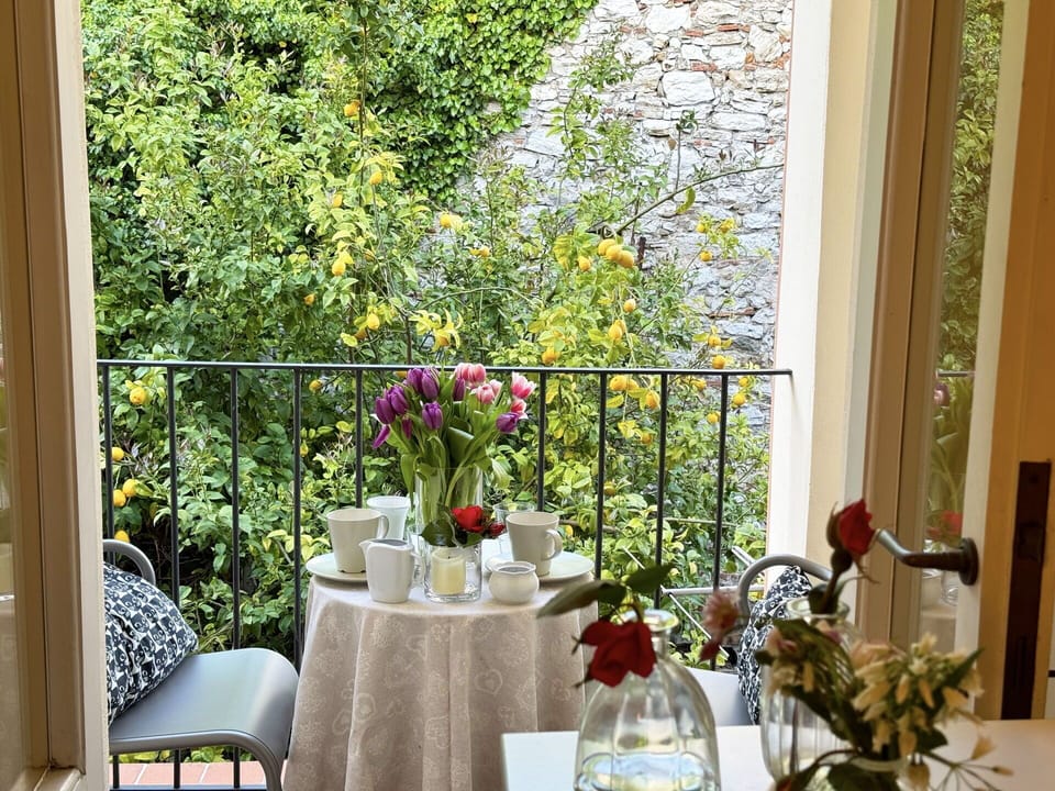 Furniture, Interior Design, Table, Chair, Flowerpot, Balcony, Glass, Houseplant