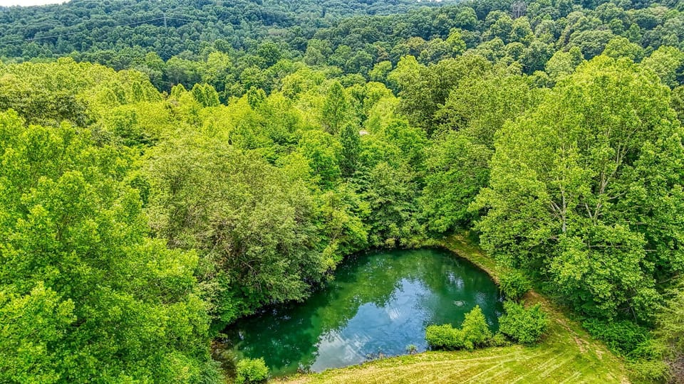 Catch and Release Pond