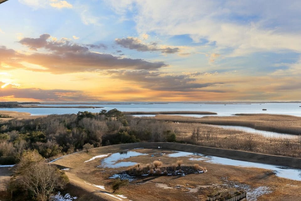 A peaceful blend of dried coastal grass, trees and shimmering shoreline serenity.