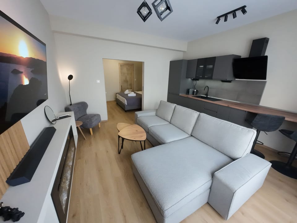 Apartment, Non Smoking, Balcony | Living area | 55-inch LED TV with digital channels