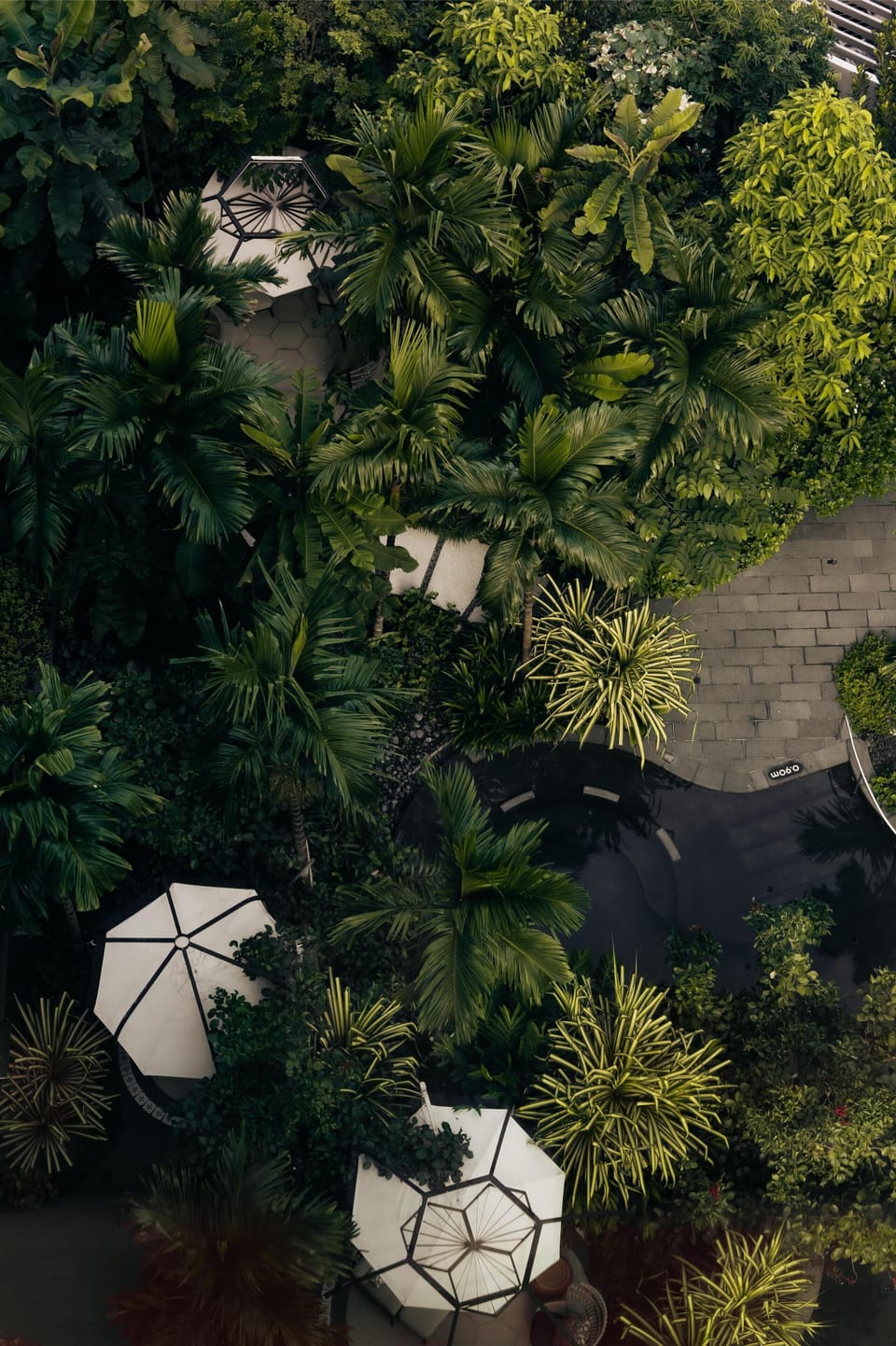 2 outdoor pools