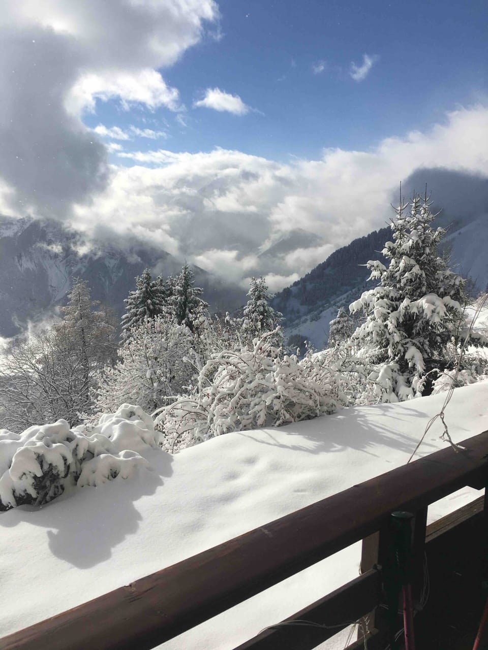 View from property