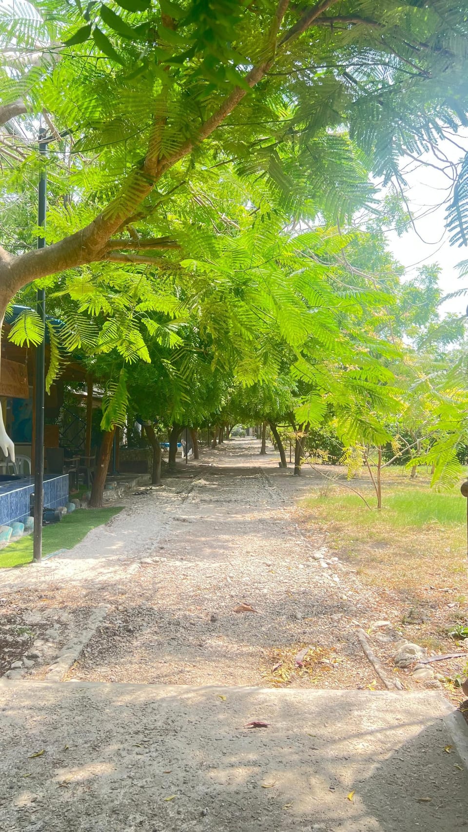 Property grounds