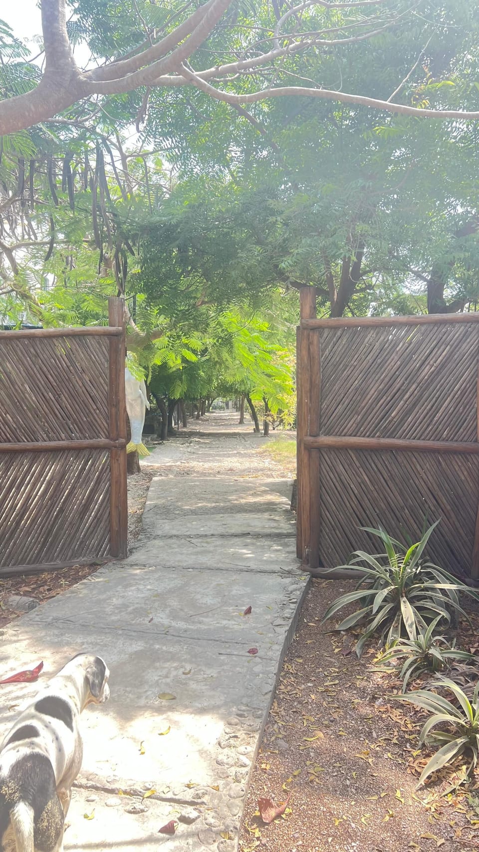 Property grounds