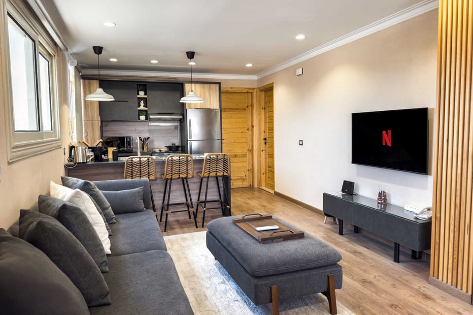 Basic Apartment | Living area | 55-inch Smart TV with satellite channels