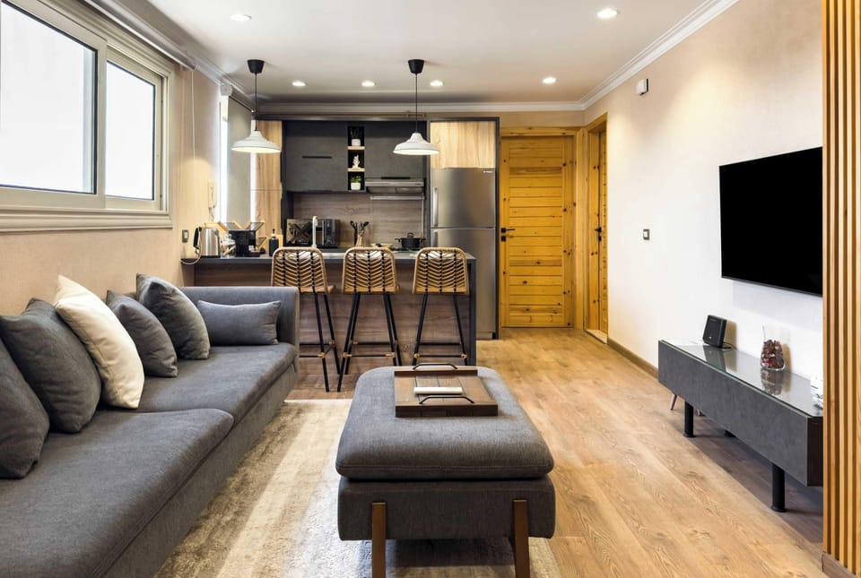 Basic Apartment | Living area | 55-inch Smart TV with satellite channels